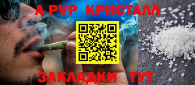 СК Новокубанск