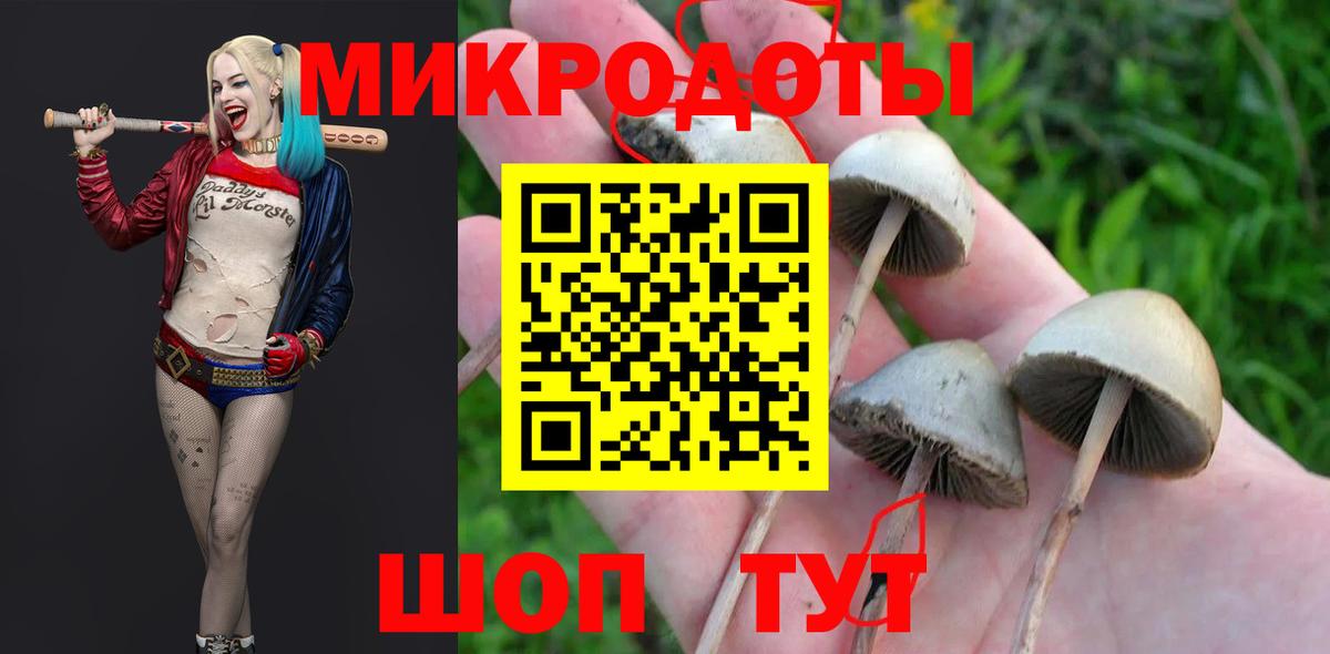 Псилоцибиновые грибы прущие грибы Рязань